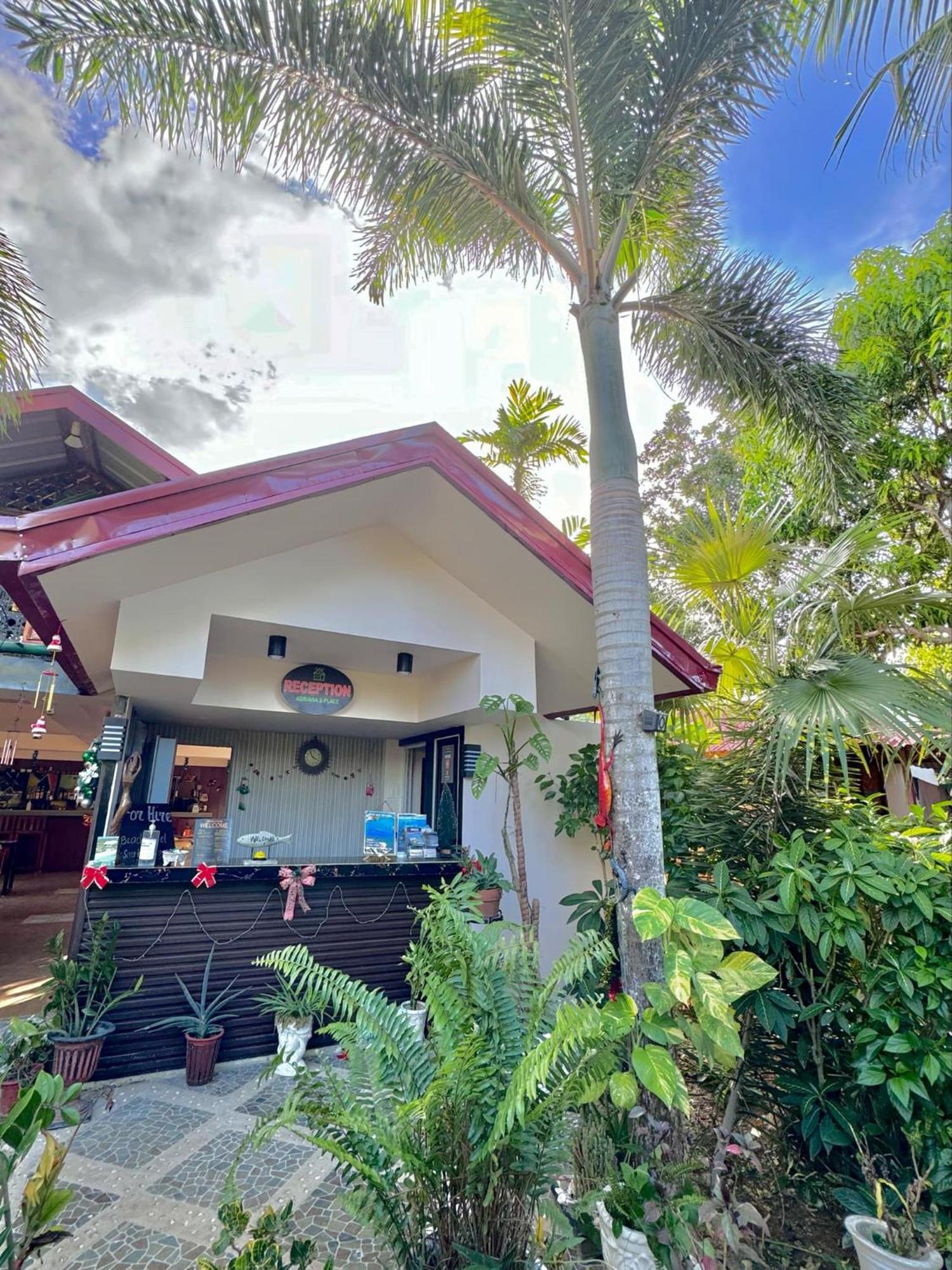 Adrianas Place Panglao Exterior foto